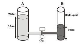 Liquid_Mixture_Experiment_bece_science_2008