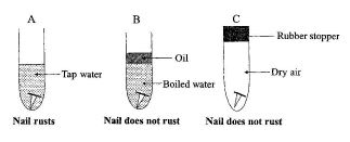 rusting_experiment_diagram_bece_2009